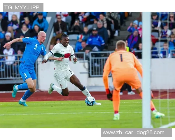 2016欧洲杯葡萄牙对阵冰岛的精彩比分预测与分析