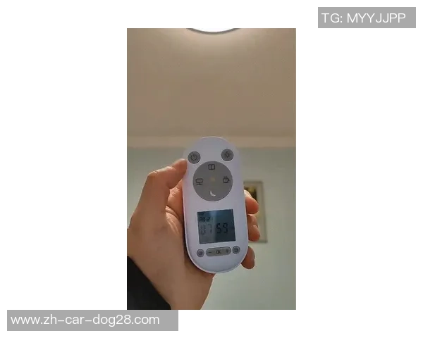 如何正确接线vs01幕布遥控器以确保最佳使用效果